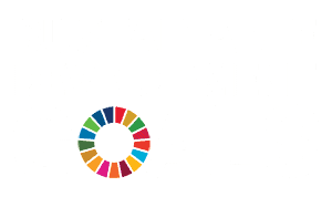 SDG Logo